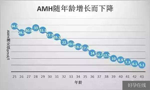 AMH的意义是什么