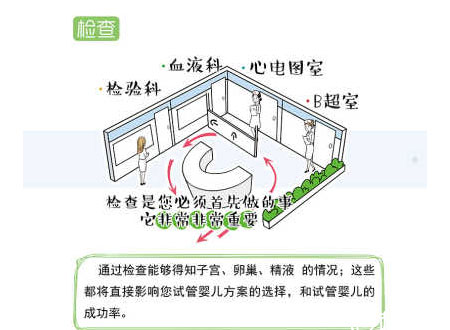 全面检查确定是否满足做试管婴儿的条件