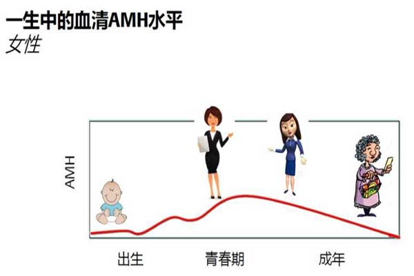 卵巢功能下降怎么调理