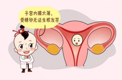 备孕试管婴儿知识_子宫内膜薄怎么调理